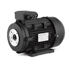 Three Phase AC Powerful Hollow Shaft Motor 5.5Kw 7.5Hp For Italy High Pressure Washer