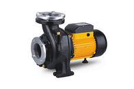 0.8 HP 0.6KW Single Impeller Water Pump , Industrial Centrifugal Pumps NFM Series
