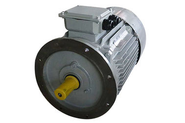 Small Lightweight Electric Three Phase Asynchronous Motor 2 Kw IP54 B Insulation Class