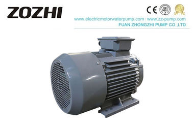 Cast Iron Three Phase Asynchronous Motor , AC Induction Motor Driving Application