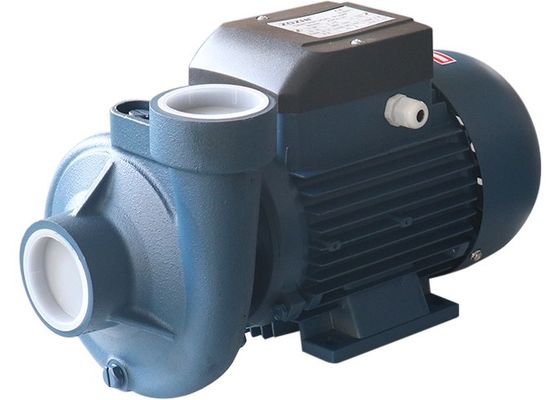 0.75HP 0.55KW Single Phase Centrifugal Water Pump For Farm Irrigation