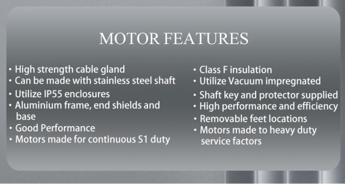 Hoogrendement 2800rpm Elektromotor Aluminium Behuizing Voor Zwembadpomp 4