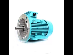 three phase electric motor B5
