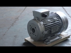 holle asmotor HS100L3-4