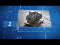 ZOZHI hs100l3-4 van de de schachtmotor van 5.5HP/4KW de Holle zwarte kleur