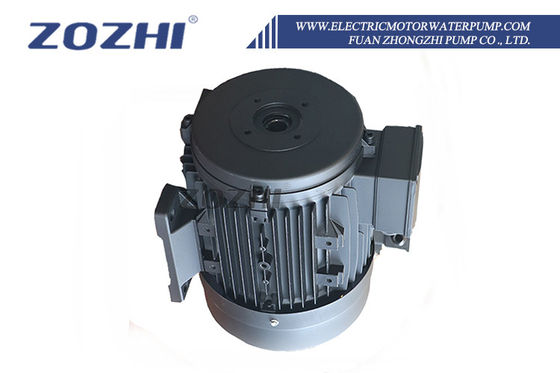 Efficiency IE2 Hollow Shaft Motor IP55 Protection Class for Industrial Applications