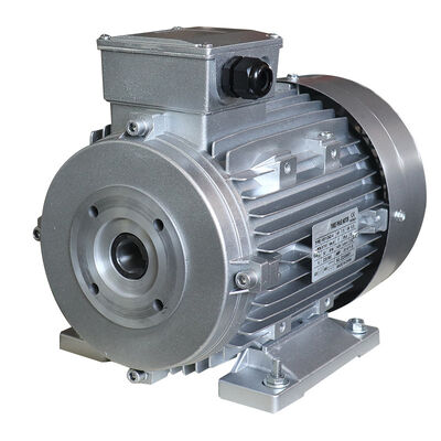 5.5KW Hollow Shaft Motor with Aluminum Housing for Direct Coupling in Cleaning Machines