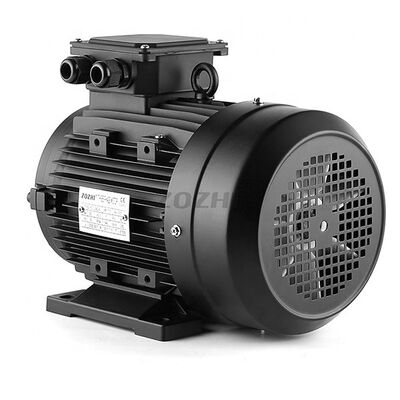 IP55 Hollow Shaft Motor Featuring Rated Frequency 50Hz and Aluminum Alloy Housing Suitable for Automation Solutions