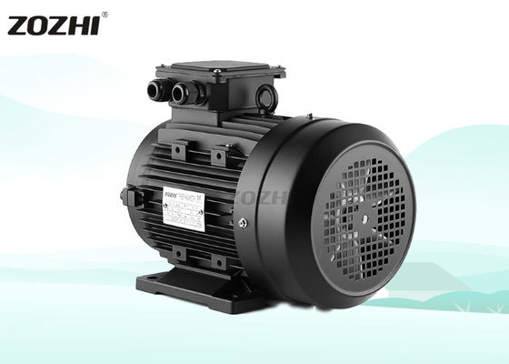 Three-Phase Motor 2.2KW 3P 960RPM IP65 Waterproof IE2 Efficiency Flange Mount 50/60Hz for Car Washer