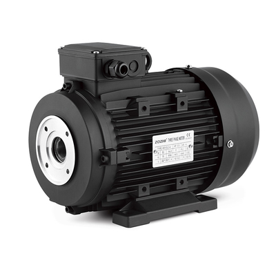 Hoogdrukwasser 5.5kw 7.5kw 9kw 380V Hollow Shaft Electric Motor Voor Autoverwasser