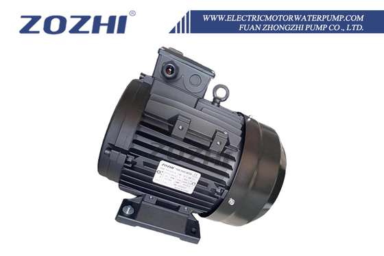 Holle schachtmotor voor drukreinigers en wasinstallaties 4KW 5.5HP B3 87/61 Holle schacht 24mm IP55 Bescherming 1400rpm Driefase 380V Voor interpomp