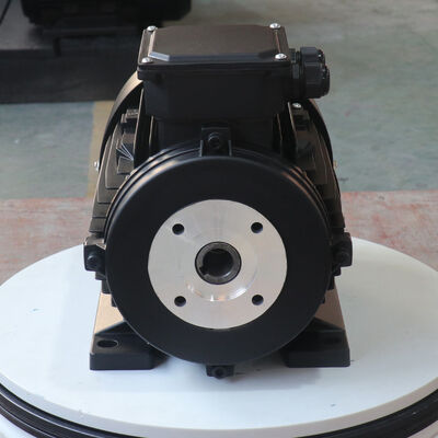 Spa Whirlpool System Hollow Shaft Single Phase Motor Three Phase Durable Performance Suitable for Industrial Applications